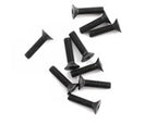 Mugen Seiki 3x12mm SJG Flat Head Screw (10)