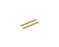 Roche - P12 2mm Upper Hinge Pin, Titanium Coated, 2 pcs (330106)