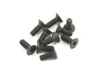 XRAY T4 2017 3x8mm Flat Head Hex Screw (10)